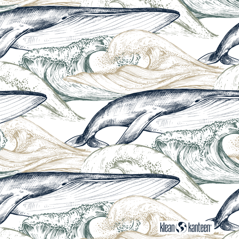 20oz-tkwide-with-twist-cap-ocean-day-n6 20oz_tkwide_bottle_seasonal_ocean_day_whale_artwork_square.png