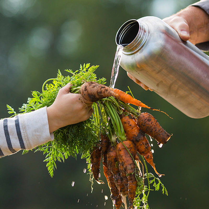64oz-wide-with-loop-cap-i7 64oz_wide_mouth_bottle_carrots_rinse_square.jpg