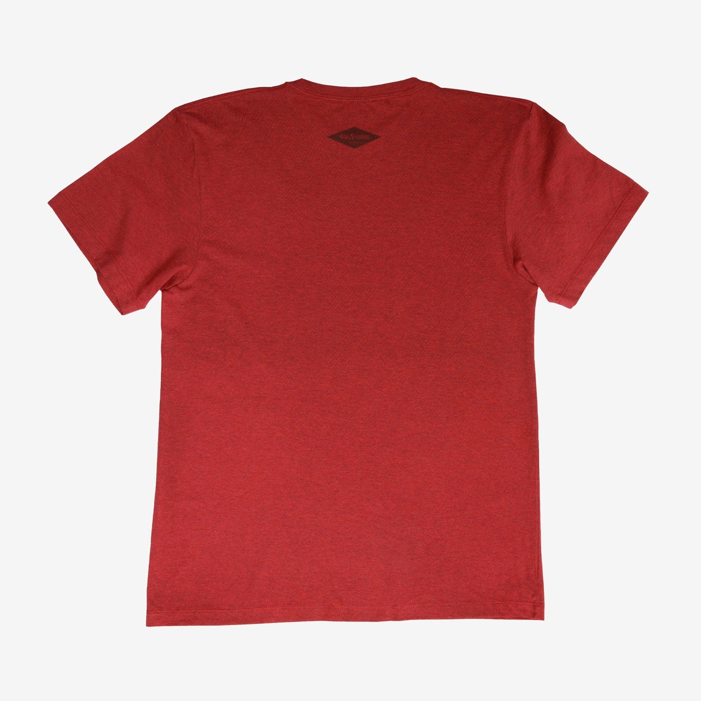 backyard-t-shirt-z2 Shirt_Mtn_Back.jpg